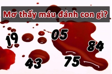 Mơ thấy máu đánh con gì nhanh trúng lô? Sự thật đằng sau giấc mơ thấy máu xui hay hên?