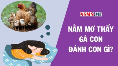 Đánh con gì khi nằm mơ thấy gà để trúng lớn ?