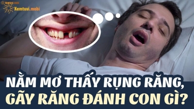 Chiêm bao mơ gãy răng đánh con gì và ý nghĩa của giấc mơ đó như thế nào?