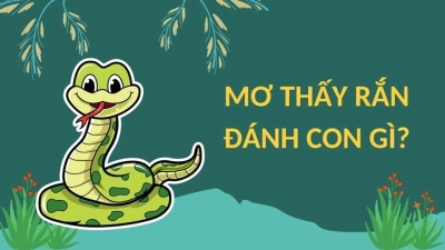 Mơ rắn đánh con gì? Những con số may mắn trong lô đề, xổ số khi mơ thấy rắn