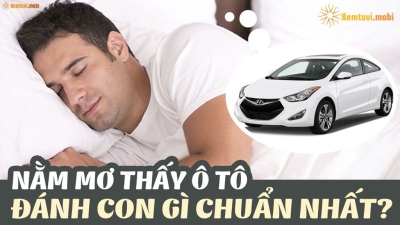Mơ ô tô đánh con gì? Mơ thấy ô tô có điềm báo như thế nào?