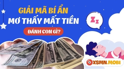 Mơ mất tiền đánh con gì? Ý nghĩa của điềm báo mơ thấy mất tiền?