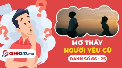 Mơ nyc đánh con gì? Giấc mơ thấy người yêu cũ là điềm tốt hay xấu?